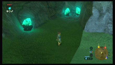 Botw - Faron Korok 7 Overworld View