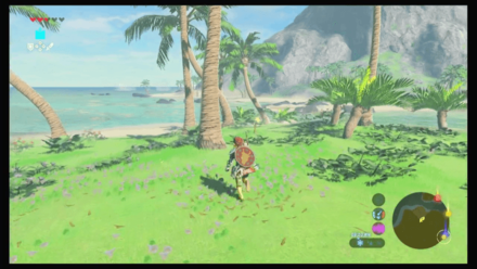 Botw - Faron Korok 4 Overworld View