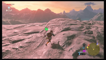 Botw - Faron Korok 6 Overworld View