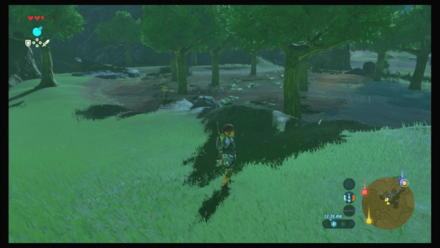 Botw - Faron Korok 8 Overworld View