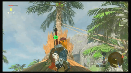 Botw - Faron Korok 11 Overworld View