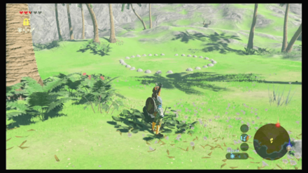 Botw - Faron Korok 12 Overworld View