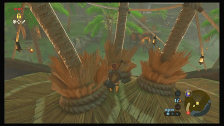 Botw - Faron Korok 10 Overworld View
