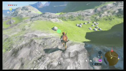 Botw - Faron Korok 13 Overworld View