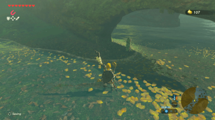 Botw - Lake Korok 7 Overworld View