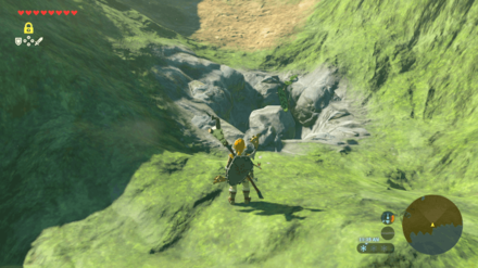 Botw - Lake Korok 8 Overworld View