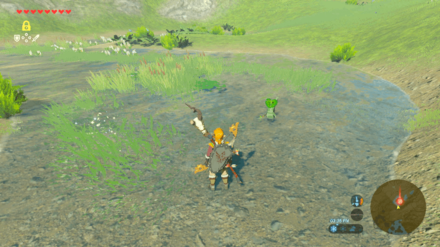 Botw - Lake Korok 11 Overworld View