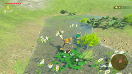 Botw - Lake Korok 12 Overworld View