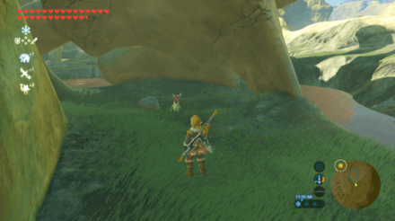 Botw - Tabantha Korok 30 Overworld View