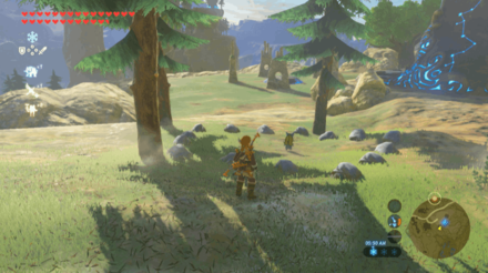Botw - Tabantha Korok 28 Overworld View