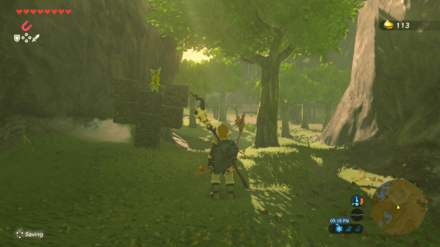 Botw - Lake Korok 13 Overworld View