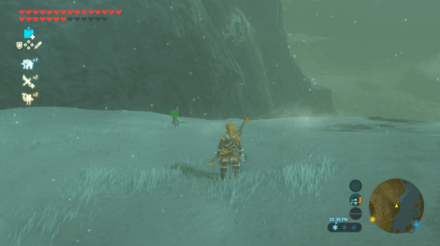 Botw - Tabantha Korok 34 Overworld View