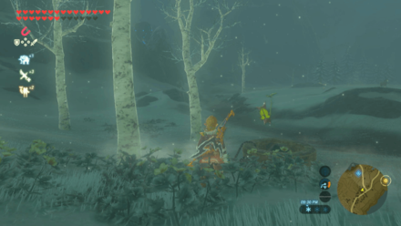 Botw - Tabantha Korok 32 Overworld View