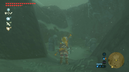 Botw - Tabantha Korok 31 Overworld View