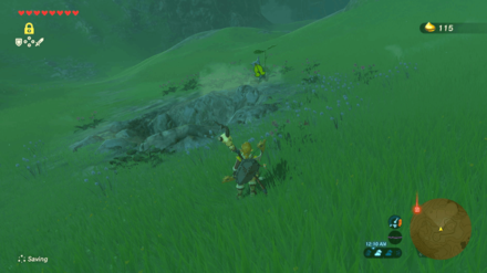 Botw - Lake Korok 15 Overworld View
