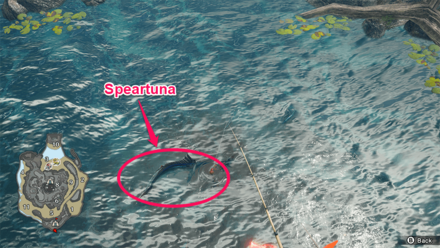 MH Rise Sunbreak - Jungle Speartuna