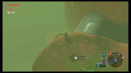 Botw - Faron Korok 28 Overworld View