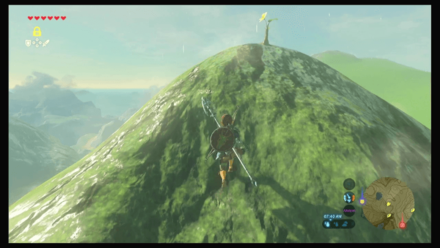 Botw - Faron Korok 21 Overworld View
