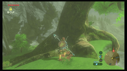 Botw - Faron Korok 22 Overworld View