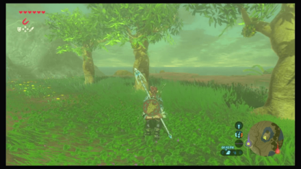 Botw - Faron Korok 27 Overworld View