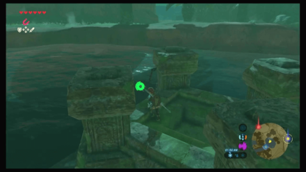 Botw - Faron Korok 30 Overworld View