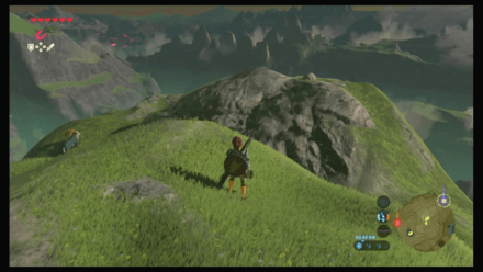 Botw - Faron Korok 19 Overworld View
