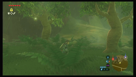 Botw - Faron Korok 25 Overworld View