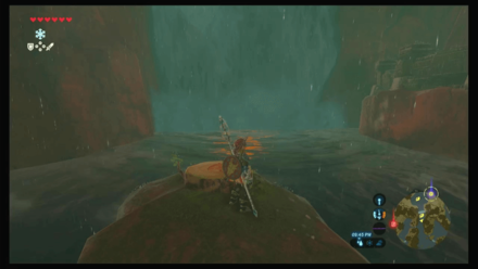 Botw - Faron Korok 29 Overworld View