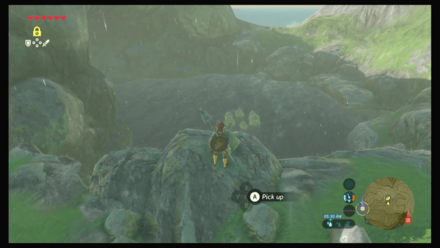 Botw - Faron Korok 20 Overworld View