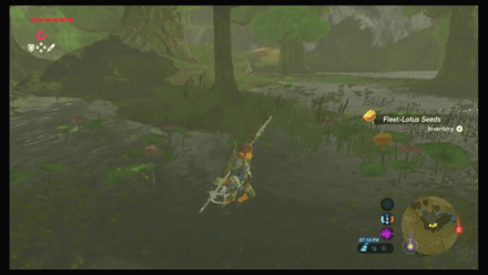 Botw - Faron Korok 17 Overworld View