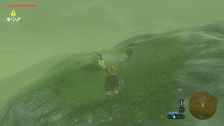 Botw - Lake Korok 19 Overworld View