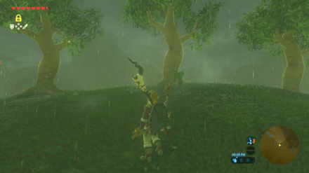 Botw - Lake Korok 20 Overworld View
