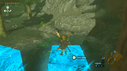 Botw - Lake Korok 25 Overworld View