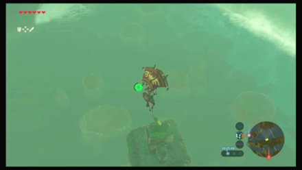 Botw - Faron Korok 32 Overworld View