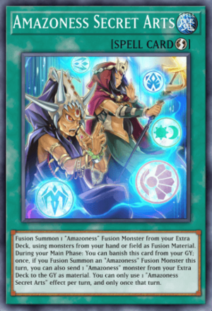 Amazoness Secret Arts