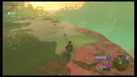 Botw - Faron Korok 36 Overworld View