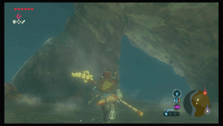 Botw - Faron Korok 38 Overworld View