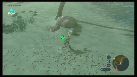 Botw - Faron Korok 40 Overworld View