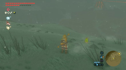 Botw - Hebra Korok 21 Overworld View