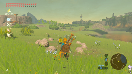 Botw - Central Korok 27 Overworld View