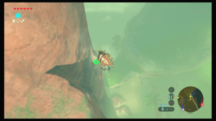 Botw - Faron Korok 41 Overworld View