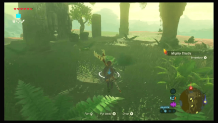 Botw - Faron Korok 42 Overworld View