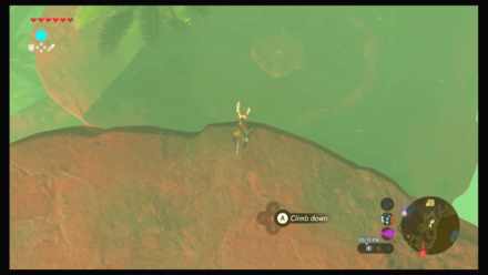 Botw - Faron Korok 43 Overworld View