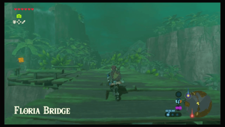 Botw - Faron Korok 45 Overworld View