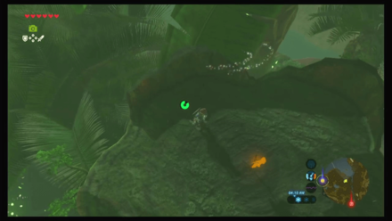 Botw - Faron Korok 46 Overworld View
