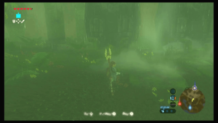 Botw - Faron Korok 47 Overworld View
