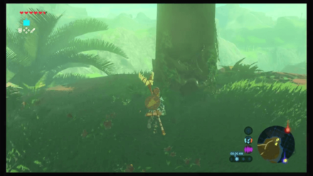 Botw - Faron Korok 48 Overworld View