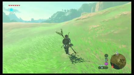 Botw - Faron Korok 50 Overworld View
