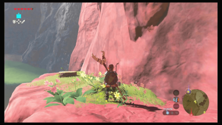 Botw - Faron Korok 51 Overworld View