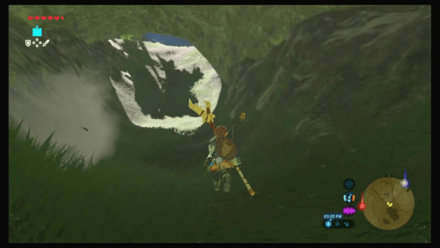 Botw - Faron Korok 52 Overworld View